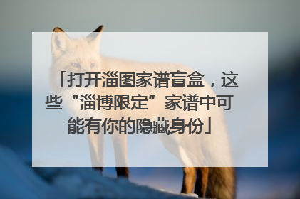 打开淄图家谱盲盒，这些“淄博限定”家谱中可能有你的隐藏身份