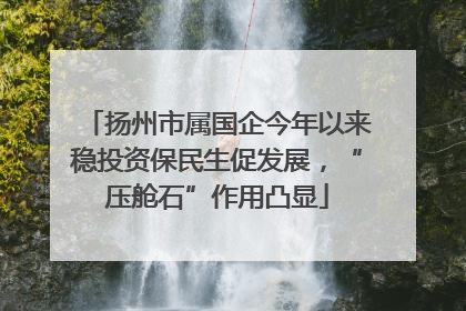 扬州市属国企今年以来稳投资保民生促发展，“压舱石”作用凸显