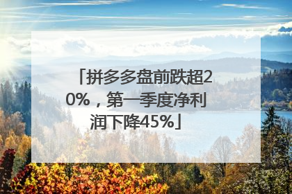拼多多盘前跌超20%，第一季度净利润下降45%