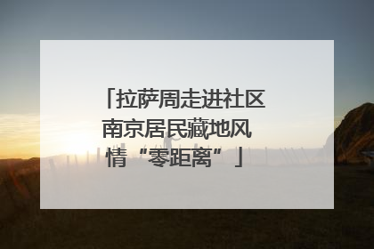 拉萨周走进社区 南京居民藏地风情“零距离”