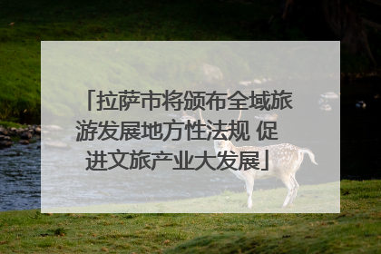 拉萨市将颁布全域旅游发展地方性法规 促进文旅产业大发展