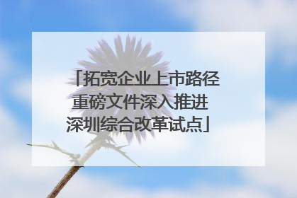 拓宽企业上市路径 重磅文件深入推进深圳综合改革试点