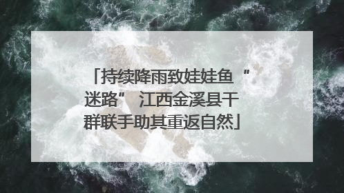 持续降雨致娃娃鱼“迷路” 江西金溪县干群联手助其重返自然