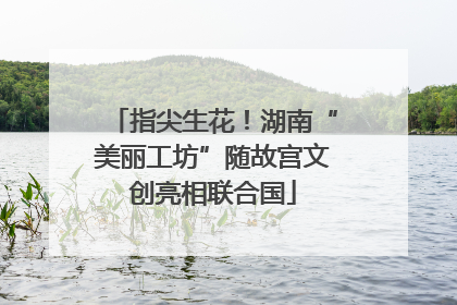 指尖生花！湖南“美丽工坊”随故宫文创亮相联合国