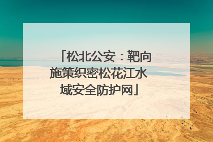 松北公安：靶向施策织密松花江水域安全防护网