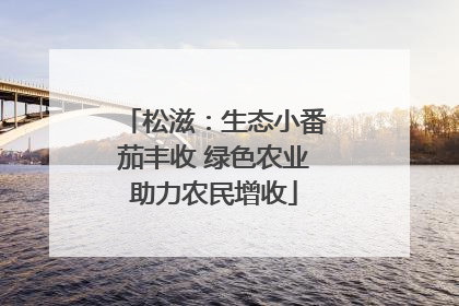 松滋：生态小番茄丰收 绿色农业助力农民增收