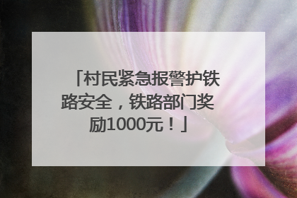 村民紧急报警护铁路安全，铁路部门奖励1000元！