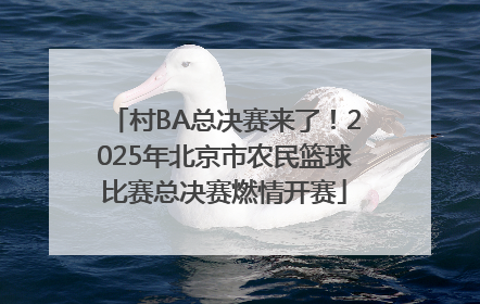 村BA总决赛来了！2025年北京市农民篮球比赛总决赛燃情开赛