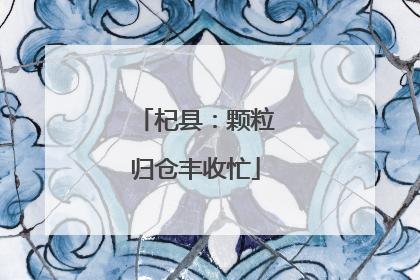 杞县：颗粒归仓丰收忙