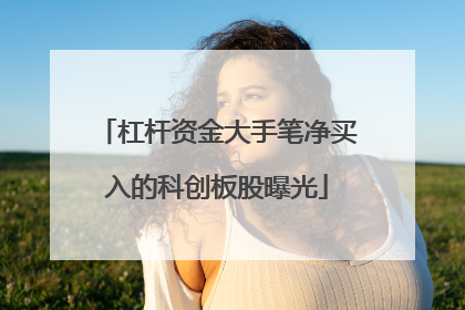 杠杆资金大手笔净买入的科创板股曝光