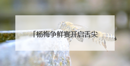 杨梅争鲜赛开启舌尖上的狂欢 看看谁最能代表浙江的“甜”？