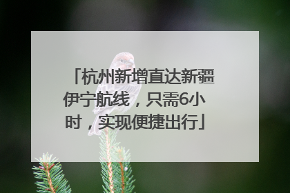 杭州新增直达新疆伊宁航线，只需6小时，实现便捷出行