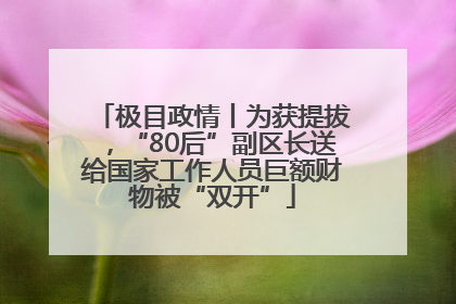极目政情丨为获提拔，“80后”副区长送给国家工作人员巨额财物被“双开”