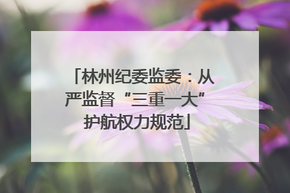 林州纪委监委：从严监督“三重一大” 护航权力规范