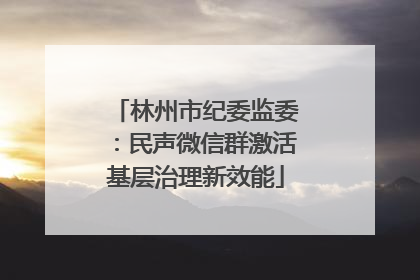 林州市纪委监委：民声微信群激活基层治理新效能