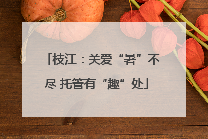 枝江：关爱“暑”不尽 托管有“趣”处