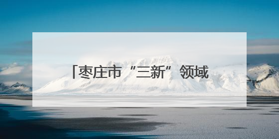 枣庄市“三新”领域妇联组织领头雁素质能力提升培训班开班