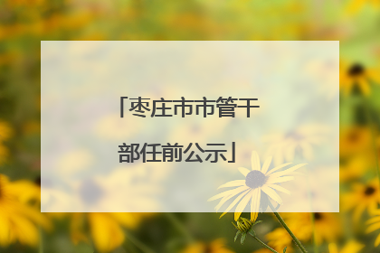 枣庄市市管干部任前公示
