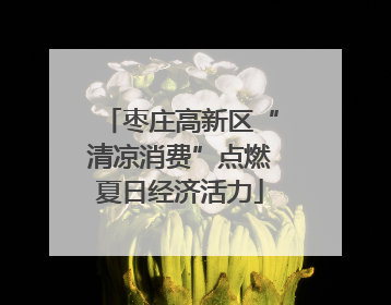 枣庄高新区“清凉消费”点燃夏日经济活力