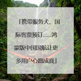 携带服务犬、国际客票预订……鸿蒙版中国国航让更多用户心愿成真
