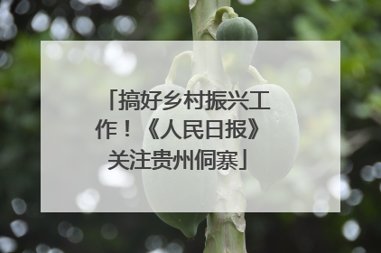 搞好乡村振兴工作！《人民日报》关注贵州侗寨