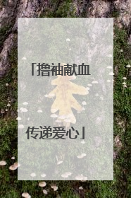 撸袖献血 传递爱心