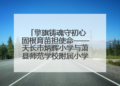 擎旗铸魂守初心 固根育苗担使命——天长市炳辉小学与萧县师范学校附属小学结对共建活动纪实