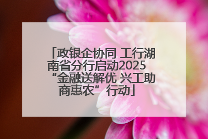 政银企协同 工行湖南省分行启动2025“金融送解优 兴工助商惠农”行动