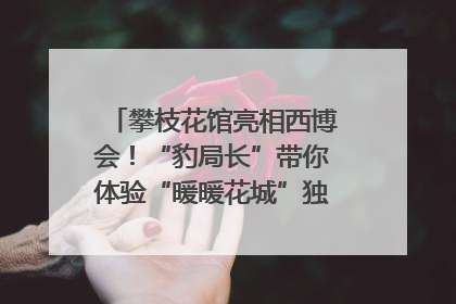 攀枝花馆亮相西博会！“豹局长”带你体验“暖暖花城”独特魅力｜西博视界
