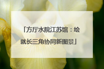 方厅水院江苏馆：绘就长三角协同新图景