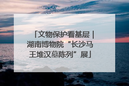 文物保护看基层｜湖南博物院“长沙马王堆汉墓陈列”展
