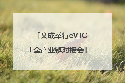 文成举行eVTOL全产业链对接会