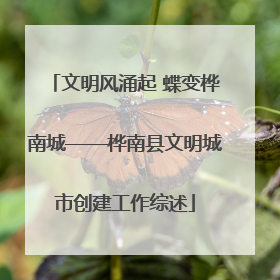 文明风涌起 蝶变桦南城——桦南县文明城市创建工作综述