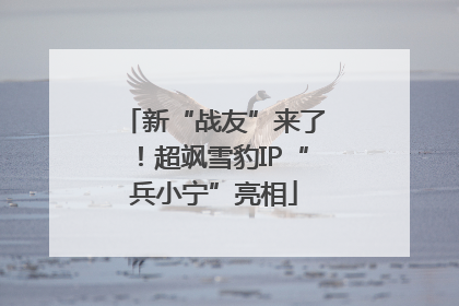新“战友”来了！超飒雪豹IP“兵小宁”亮相
