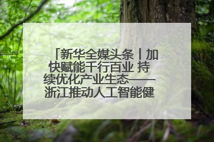 新华全媒头条丨加快赋能千行百业 持续优化产业生态——浙江推动人工智能健康有序发展观察