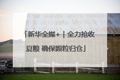 新华全媒+｜全力抢收夏粮 确保颗粒归仓