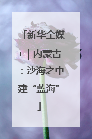 新华全媒+｜内蒙古：沙海之中建“蓝海”
