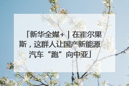 新华全媒+｜在霍尔果斯，这群人让国产新能源汽车“跑”向中亚