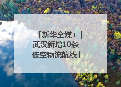 新华全媒+｜武汉新增10条低空物流航线