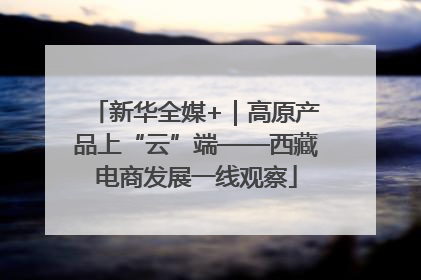 新华全媒+｜高原产品上“云”端——西藏电商发展一线观察