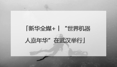 新华全媒+丨“世界机器人嘉年华”在武汉举行