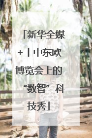 新华全媒+丨中东欧博览会上的“数智”科技秀