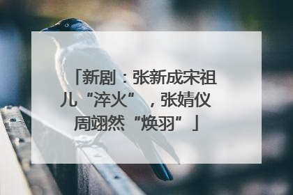 新剧：张新成宋祖儿“淬火”，张婧仪周翊然“焕羽”