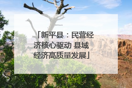 新平县：民营经济核心驱动 县域经济高质量发展