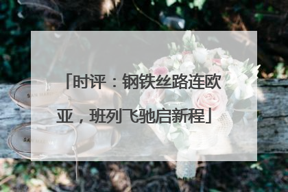 时评：钢铁丝路连欧亚，班列飞驰启新程