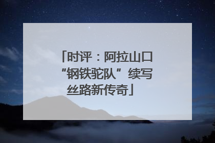 时评：阿拉山口“钢铁驼队”续写丝路新传奇