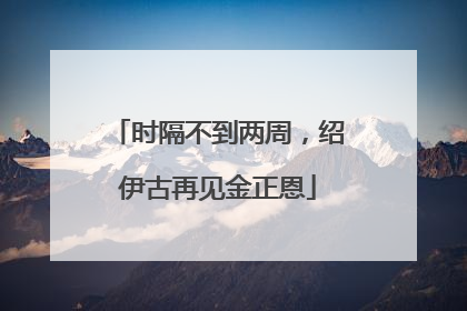 时隔不到两周，绍伊古再见金正恩