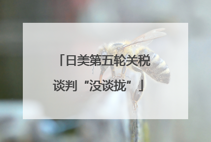 日美第五轮关税谈判“没谈拢”