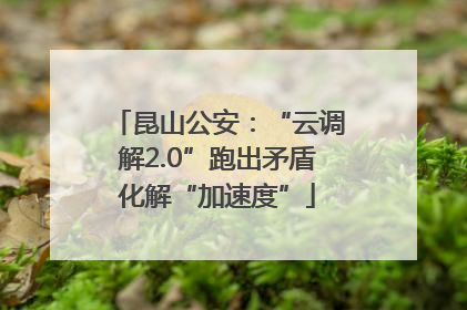 昆山公安：“云调解2.0”跑出矛盾化解“加速度”