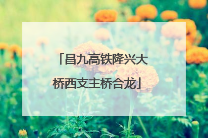 昌九高铁隆兴大桥西支主桥合龙